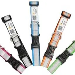 Pawsitivity - Save Our Street Animals India's Smart Nylon Reflective Collars for Stray Dogs, Qr Scan Enabled, Adjustable, Durable | Pack of 5, Multicolor, 63.5 x 2.5 cm-image-25
