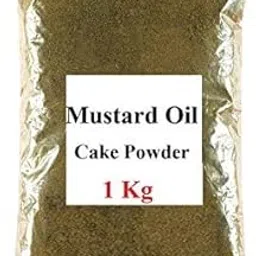 Mustared Cake Powder Organic-picture-51