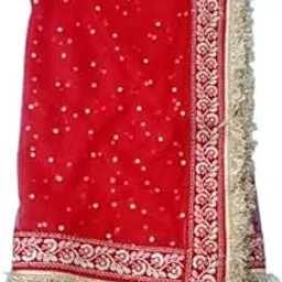 Red Net Dupatta, Bridal Premium Fancy Embroidered Border with Sequins, 2.5 Metres x 1 Metre-picture-35