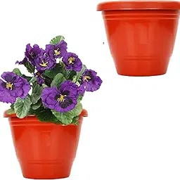 Leafy Tales Plastic Pots, Terracotta Color 10 inch Pot Size, 2 Pieces, Big (10" Terracotta Pot - 2)-image-38