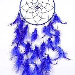 ANEMONE MART® Dream Catcher Blue Colour 6 inch Ring Size Natural Feather-picture-19