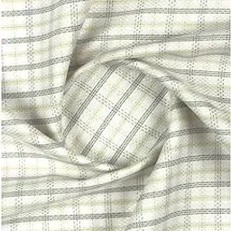 ramraj cotton Men 100% Giza Cotton Checked Shirt Fabric Casino Grand (Green_1)-picture-59