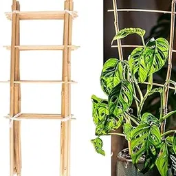 SUMAN10 Pack Natural Bamboo Trellis for Climbing Plants 16" Outdoor Garden Ladder Trellis, Fan -Shaped Plant Support Trellis for Potted Plant-picture-51