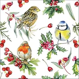 DCAD Decoupage Tissue Paper Napkin - Christmas Tissue Birds in Winter (Pack of 20 Same Design, Size 33 cm X 33 cm)-picture-16