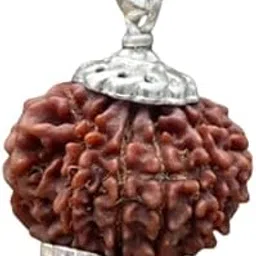 gemfinity Rare Quality 9 Mukhi Rudraksha Silver Capped 9 Face Rudraksha Brown Beads Nine Mukhi Rudraksha Nepal Silver Pendant Nav Mukhi Rudraksha For Worship Purpose 9 मुखी रुद्राक्ष नेपाली ओरिजनल-picture-25