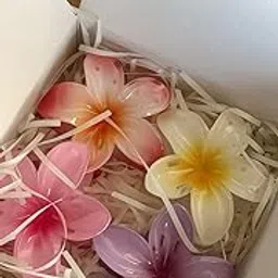 Raahive Set of 4 Flower Claw Clips – Cute & Durable Hair Clutchers for Girls & Women-image-21