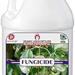 Sansar Green® Liquid Fungus remover, Essential Powerful Organic Liquid for removing all types of Fungus From Plants. (500 ml)-picture-33