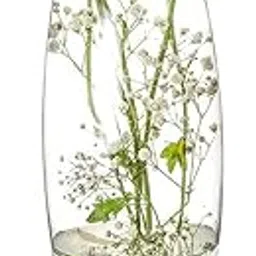 KAPDOLIYAS Glass Flower Pot/Vases Rust Resistant Vase in Round Shape, 10 Inches, with Free 153g Multicolour GRAVELS-picture-32