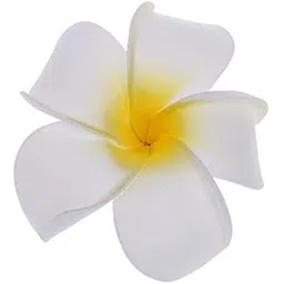 Women Girls Plumeria Flower Foam Juda Pin -White Flower Hair Clips (Pack of 6)-picture-14