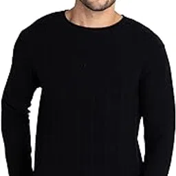 status quo Mens Solid Round Neck Sweater-picture-25