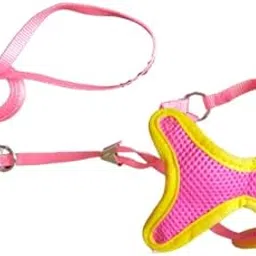 RvPaws Adjustable Soft Mesh Comfort Padded Vest Dog Harness for Small Dogs, Toy Breeds, Puppies (Color May Vary)-picture-46