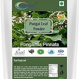Neotea Flax Pungai Pongamia Pinnata Leaf Powder, 300GM | Natural Herbal Powder for Skin, Hair, and Immune Support | Pure & Organic, No Additives | Traditional Ayurvedic Remedy for Overall Wellness-image-63