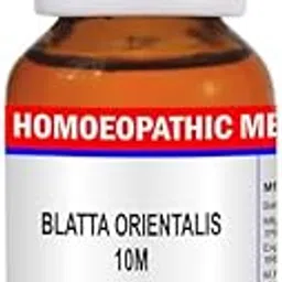 BLATTA ORIENTALIS 10M-picture-27