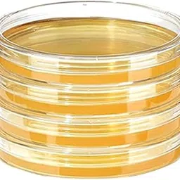 Mold Test kit for Home in White Box-image-36