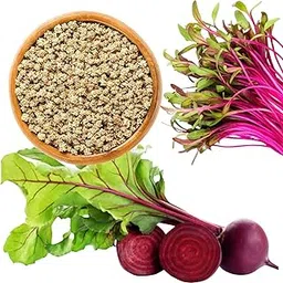 Garden Basket Hubb Hybrid Beetroot Seeds | Perfect for Home Gardening, Planting, Farm | Chukandar Seeds (100g)-picture-13
