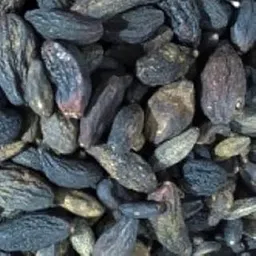 THAKAR Young Harde 200g | Haritaki (Terminalia chebula) | Organic Ayurvedic Herb for Digestion & Wellness.-picture-27