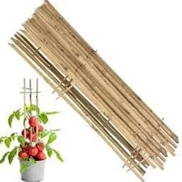 Bamboo Sticks for Plants, 4feet (Pack of 6)-picture-31