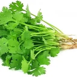 Nutrifresh Coriander Hydroponically Grown (approx.100gm) Pack-picture-28