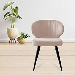 Finch Fox Shree Velvet Dining Chairs in Cream Color with Black Powdered Coated Metal Legs image 1