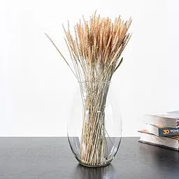 Idika Living Mountain Grass for Home & Office Decor | 1 Bunch-200 Stems | Dried Flower| (Without Vase) |Vase Fillers | Eco-Friendly| Home Accents|Artisanal Home décor| Mountain-Inspired (Brown)-image-6