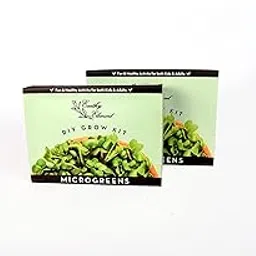 Earthy Element Microgreens DIY kit Pack of 2-image-9