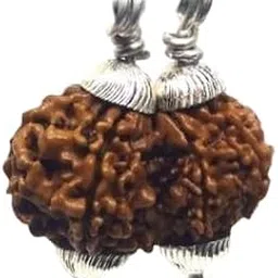 Cuonna Gems Gallery Auspicious Original Gaurishankar Nepal Rudraksha with Beautiful Capping Rudraksham गौरी शंकर रुद्राक्ष Certified A1 Rated Shiv Parvati Rudraksh शिव पार्वती रुद्राक्ष-picture-29