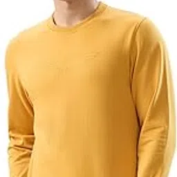 park avenue Men Slim Fit Solid Pattern Cotton Polyester Blend Round Neck Full Sleeve Casual Sweatshirt Yellow-picture-35