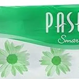 V4L Imported 2 Ply Toilet Tissue Paper (10 Rolls)-image-51