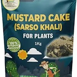 Mustard Oil Cake (Sarso Khali) Organic Essential Fertilizer for Home Garden, Potting Plant Growth & Healthy Root Nutrient (1 KG)-image-23