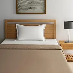 Raymond Home Wool Single Blanket, Brown, 1 Pc-picture-24