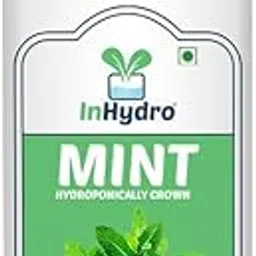Inhydro - Dry Mint 10 g Hydroponically Grown Pesticide-Free Mint Leaves for Pizza, Pasta, Salads, Marinades, Soups and other multiple purpose.-picture-26