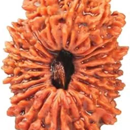 AstroCart 21 Mukhi Rudraksha Original Certified Nepali नेपाली इक्कीस मुखी रुद्राक्ष 21 Mukhi Rudraksha Twenty One Face Rudraksha 21 Mukhi Rudraksha Nepal Beads 21 मुखी रुद्राक्ष नेपाल Ikkis Ekkis Mukhi 21 Face Rudraksha For Japa Mala-picture-20