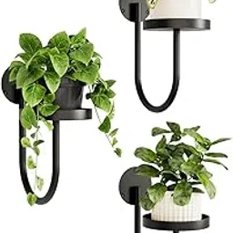 Wall Plant Holder 3 Pack, Black Wall Planters for Indoor Plants, Plant Hanger for Window & Wall, Hanging Plant Shelves for Small Pots, Decorative Plant Display (6.7" x 5.5" x 10.1") image 1