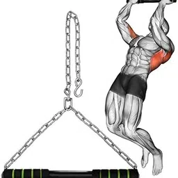 Chinup bar Hanging Pull-Up Bar with Heavy-Duty Chain – Upper Body Workout Equipment for Home Gym, Height GroWth Kids & Adult Doorway, or Outdoor Use – Strength Training Bar for Back, Arms, Shoulders, and Core Fitness-picture-33
