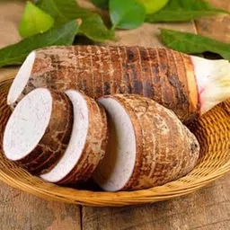 Taro Root/Arbi/Dasheen/Eddoes Vegetable Bulbs Home -Outdoor Gardening Bulbs planting (Pack of 9 Bulbs)_F12-picture-39