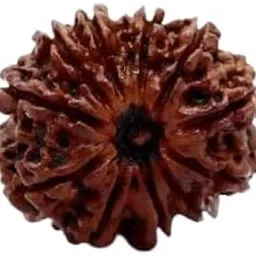 TRINETRA GEMS STONE Eleven Face Rudraksha For Make Pendant 11 Mukhi Rudraksha Nepali Beads Superb Natural Gyarah Mukhi Rudraksha IGL Lab Certified ग्‍यारह मुखी रुद्राक्ष For Women-picture-31
