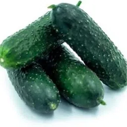 Green World F1 CUCUMBER AMERICAN BLACK/KHIRA SEEDS FOR KITCHEN GARDENING (10 seeds)-picture-15