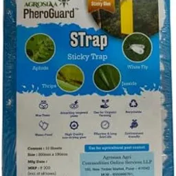 6 x 8 cm Blue Sticky Trap for Insects Pack of 10 Sheets Garden Agriculture Control Whiteflies Aphids Thrips Jassids Fly Catcher Insect Glue Trap Effective Results-picture-15