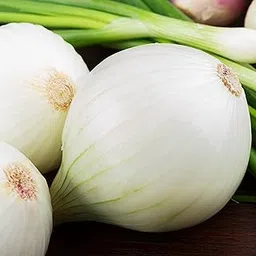 Golden Hills Farm Hybrid F1 White Onion Vegetable For Home Gardening Planting 300+ seeds-picture-14