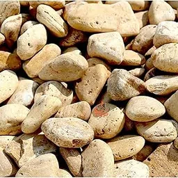KNP- Yellow Forest River Stone Natural Garden Material 1-2 Cm 10Kg-image-18