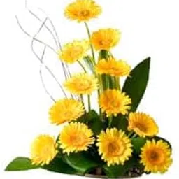 FLORANET Radiant 12 Yellow Gerberas arranged with charm in a classic reusable cane basket For Anniversary, Birthday, Wedding Gift, Congratulations Gift, Mother's Day Gift (Same Day Delivery)-picture-29