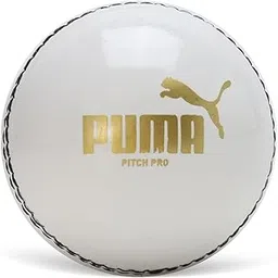 Puma Men,Pitch PRO,White,M (8489002)-image-64