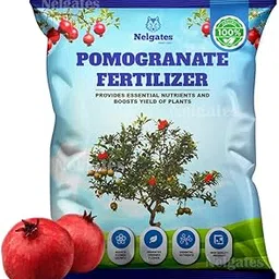 Organic Pomegranate Plant Fertilizer | Nutrient-Rich Fertilizer for Indoor & Outdoor Fruit Plants | Enhances Growth, Stronger Roots & Healthier Leaves | Ideal for Home Gardening 500 g-picture-17