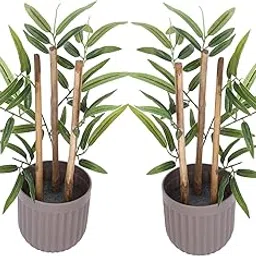 Amazon Basics Realistic Looking Pack of 2 Artificial Mini Bamboo Plant, 29x10 cm, for Home/Office Décor, Greenery in Brown Plastic Pot-image-20