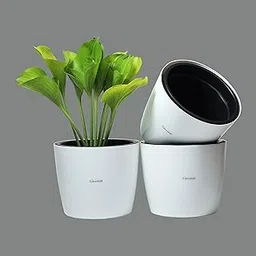 GREENON® 10 Inch Self Water Plant Pot Pack of 3 (6 Pots) | White Outer and Black Inner | UnFadable Flower Pot | Virgin Plastic Gamla | Suitable for Indoor and Balcony-picture-70