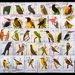 ISC~ ST. Thomas and Prince Island Stamps On Birds- 31 Different Stamps, Flora & Fauna Stamps, All Genuine Postage Stamps ~ STAMPEX-picture-26