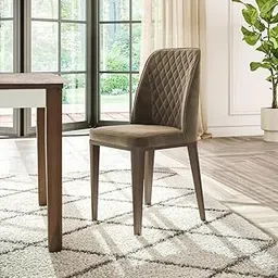 Wakefit Venza Metal Dining Chair - Stone-picture-26