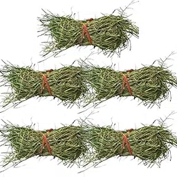 Fresh Doob Grass For Pooja | Durva Grass for Havan Pooja | Pack of 5 Bundle Doob Grass For Pooja-picture-34