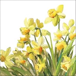 DCAD Decoupage Tissue Paper Napkin - Golden Daffodils (Pack of 20 Same Design, Size 33 cm X 33 cm)-image-22