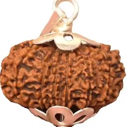 BluDiamond 14 Face Rudraksha Original Certified Nepali With Pendent 14 मुखी नेपाली ओरिजिनल रुद्राक्ष Chaudah Mukhi Fourteen Mukhi Pure 14 Mukhi Nepali Rudraksha For Puja Beads-picture-67